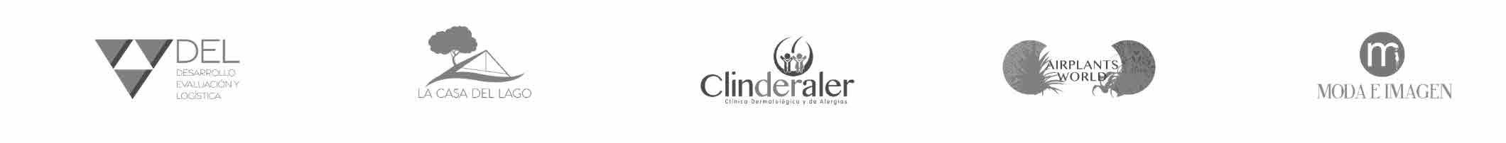 Clientes: DEL, La Casa del Lago, Clinderaler, Airplants World y Moda e Imagen